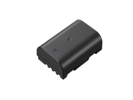 DMW-BLF19