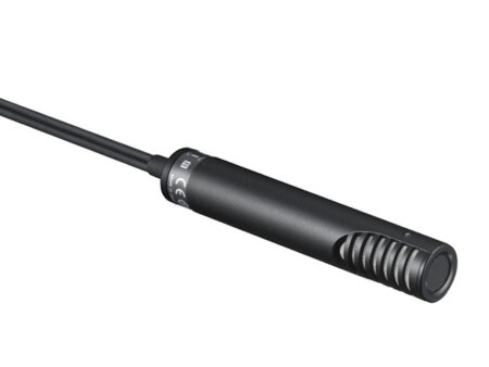 ECM-MS2
