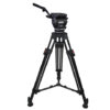Focus 22 2S EFP
