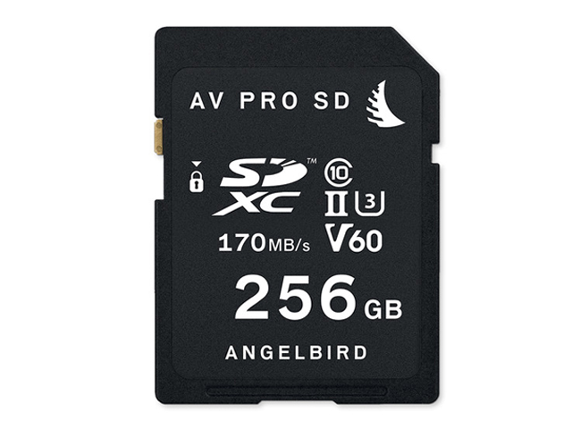 AVP256SDMK2V60