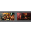 SmartView Duo
