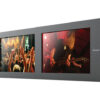 SmartView Duo-2
