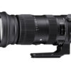 60-600mm F4.5-6.3 DG HSM