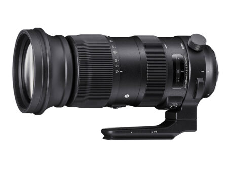 60-600mm F4.5-6.3 DG HSM