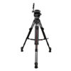 Focus 22 SDS