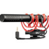 videomic NTG