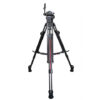 Focus 8 SDS Alu