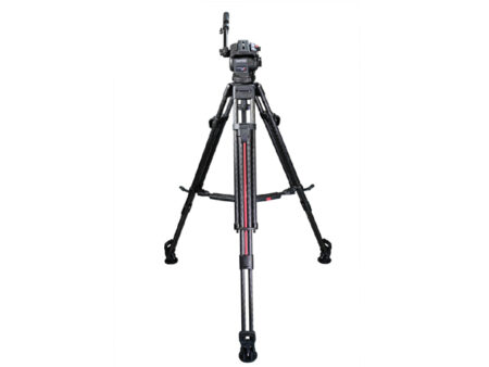 Focus 12 SDS Alu