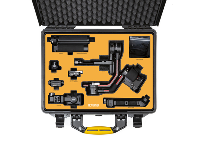 RS2-2500-01