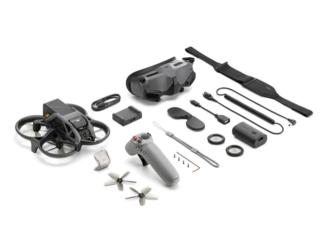 AVATA PRO-VIEW COMBO (GOGGLES 2)