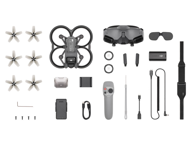 AVATA PRO-VIEW COMBO (GOGGLES 2)