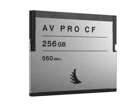 AVP256CFSE